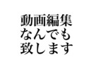 動画編集なんでも致します 動画編集全般なんでも致します。 イメージ1