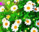 現役、精神科勤務の専門職が何でも聞きます 人との繋がりを大切に、優しく何でも相談に乗ります！ イメージ3