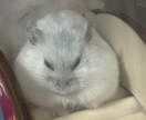 重度うつ病の妻を持つ僕が力になります 妻がうつ病、適応障害、自傷癖がある妻を持つ僕が悩み聞きます イメージ1