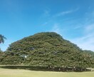 心が軽くなる時間をつくります 秘密厳守でお話ききます。何でもお話ください。 イメージ1