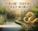 ナイルに眠る『本当のあなた』を読み解きます ドラゴンナイル【木の扉】眠れる本質を知る　算命学総合鑑定 イメージ1
