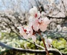 癌の妻、うつ病経験者が相談承ります 癌、鬱、家族関係の悩み（連れ子等） イメージ3