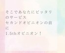 セカンドオピニオンの依頼の前にチェック出来ます セカンドオピニオンて料金高くないですか？1.5thオピニオン イメージ6