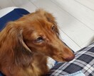 Xやインスタに投稿する記事代行します テーマをいただき記事を考えます。 イメージ1