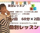 月2回の60分✖️2回の英語個別指導をします 14年経験×米国経験の英語講師 イメージ1