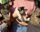 のんびり おしゃべりします ひまつぶしやストレスの吐き出し口になります♨︎ イメージ5