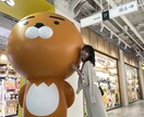 現役留学生が韓国留学のご相談に乗ります 大学から語学堂まで！あなたのお悩みを解決します！ イメージ2