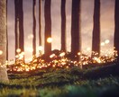 ５名限定：今のあなたに必要なメッセージを伝えます 疲れた心がふわっと軽くなる、やさしいタロットメッセージ イメージ10