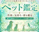 ペット鑑定｜我が子の本音や天国からの声を聴きます 純粋な魂の声を紐解き、あなたとペットの深い絆を整えます イメージ1