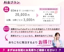 ターゲットの心に響く！PR動画を制作します ターゲット分析から丸ごとサポート！インバウンド対応可能です イメージ3