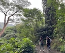 HAWAII旅行の大満足プラン作成します 毎年1回以上、ハワイに行っているので最新情報をお伝えします イメージ4