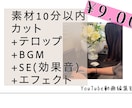 10分素材のYouTube動画編集します 視聴者にわかりやすい編集を心がけております イメージ1