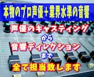 業界のプロ声優が複数収録も整音も全てやります 声優のキャスティングから業界水準のレコーディングが可能 イメージ1