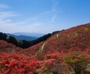 ブログやデザインに使える写真を提供します 感情を揺さぶる、言葉にできない言葉を手のひらに。 イメージ1