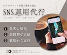 SNS運用プラン / SNSでの集客力を強化します あなたの魅力を“デザインと言葉”で届けます！SEO対策も。 イメージ1