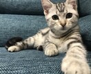 あなたの相談のります 愚痴を言ってスッキリさせませんか？ イメージ1