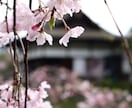 四季折々の風景をお届けします 四季折々の植物、風景や神社などの写真を提供します イメージ1
