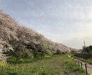 あなた様専用の願望実現ワークをお作りします 願望実現を目的とした、あなた様だけのワークをご提供いたします イメージ1
