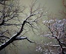 プレゼントをオススメします 一日が最高の日になるような画像を心に刻み思い出を山積みに！ イメージ5