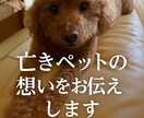 亡きペットの想いをお伝えします 心を込めたスピリチュアル鑑定！ イメージ1