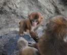 なんか虚無感、空っぽな心の声を聞きます 自分の気持ちもどうしたらいいかも分からない。全部話そう。 イメージ8