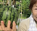 バアバが子育ての相談や愚痴、お悩みを聴きます ５人の子供を育てた優しいパワフルバアバです。 イメージ1