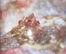 生命の樹で人生の設計図を思い出しさせます 自分の使命や本質を生命の樹から思い出してみませんか？ イメージ2