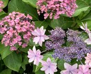 お悩みをお聞きいたします 心の荷物、少し降ろしてみませんか？ イメージ1