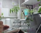 オンライン自習室! 勉強中の手元を写します お子様の見守りお任せください!ギリギリの連絡でも大丈夫です! イメージ1