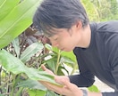誰かとなんとなく話がしたい、ヒーラーがお話聴きます 癒されたいな、疲れたな、ただ話したいな、聞いてほしいな イメージ1