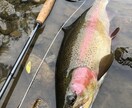 虹鱒 【釣り】 北海道の虹鱒をフライで狙う！ます ワイルドレインボー ハンティングメソッド イメージ10