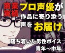 実績あるプロ声優が作品に寄り添った声をお届けします 落ち着いた声から爽やかな声まで柔軟に対応します イメージ1