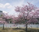 繊細な人のストレスになること、お聞きします 感受性が強いあなた。同じく繊細な私に話してみませんか？ イメージ7