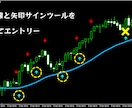 無裁量バイナリーオプションサインツール提供します プロが教えるバイナリーオプションの最適なサインツール手法 イメージ2