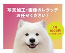 写真加工・切り抜き・画像のレタッチ承ります 背景透過/白抜き/切り抜き/合成/なんでもご相談ください！ イメージ1