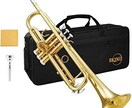 強豪校の吹奏楽の人が金管楽器教えます 金管楽器上手くなりたい人集まれ！ イメージ1