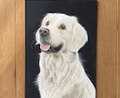 チョークアートで愛犬の似顔絵描きます ★手描きで一枚一枚丁寧に仕上げます★ イメージ1