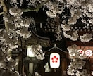 初めての京都旅行プランのためにアドバイスします 京都旅行が初めての方&久しぶりの方向け！ イメージ4