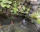 どんなお話でも聞きます あなたの心の駆け込み寺になりたくて イメージ1