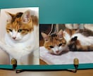 猫ちゃん専門！リアル手描き水彩の肖像画ですます 渾身丁寧に描き込む透明水彩画による唯一の原画をお届けします イメージ3