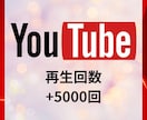 YouTube5000回再生回数増加します 【減少保証30日間】再生回数5000回増加するします イメージ1