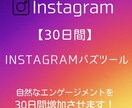 Instagramを強制的にバズらせます 自然なエンゲージメントでバズらせます【30日間】 イメージ1