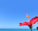 とことんお話に付き合います 声を通して話を聞いて欲しいあなたへ イメージ3