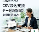 SalesforceのCSV取込を支援します CSV取込やデータ整備を丁寧に支援します イメージ1