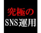 SNS運用のコンサルティングをします SNSで伸びない人は基本的な手順をぶっ飛ばしているだけです イメージ1