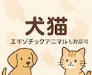 ペットの悩み相談「なんでも」お伺いします 動物病院でモヤモヤがあるあなたに”納得”をお届けします イメージ8