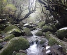 温泉・離島・断食！心身を癒す旅を提案します 有資格者＆離島・温泉好きが、あなたにぴったりの癒やし旅を伝授 イメージ2