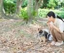 出張撮影カメラマン！レタッチして納品いたします ウェディング、家族写真の他に風景写真もお撮りいたします！ イメージ6