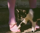 全てが上手くいきます 彼を取り戻したい方✨追いかけたくなる女性になる方法✨など イメージ2