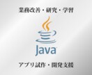 Javaアプリ・アプレット等の試作・開発支援します 業務改善　研究　プログラミング　学習　等の支援 イメージ1